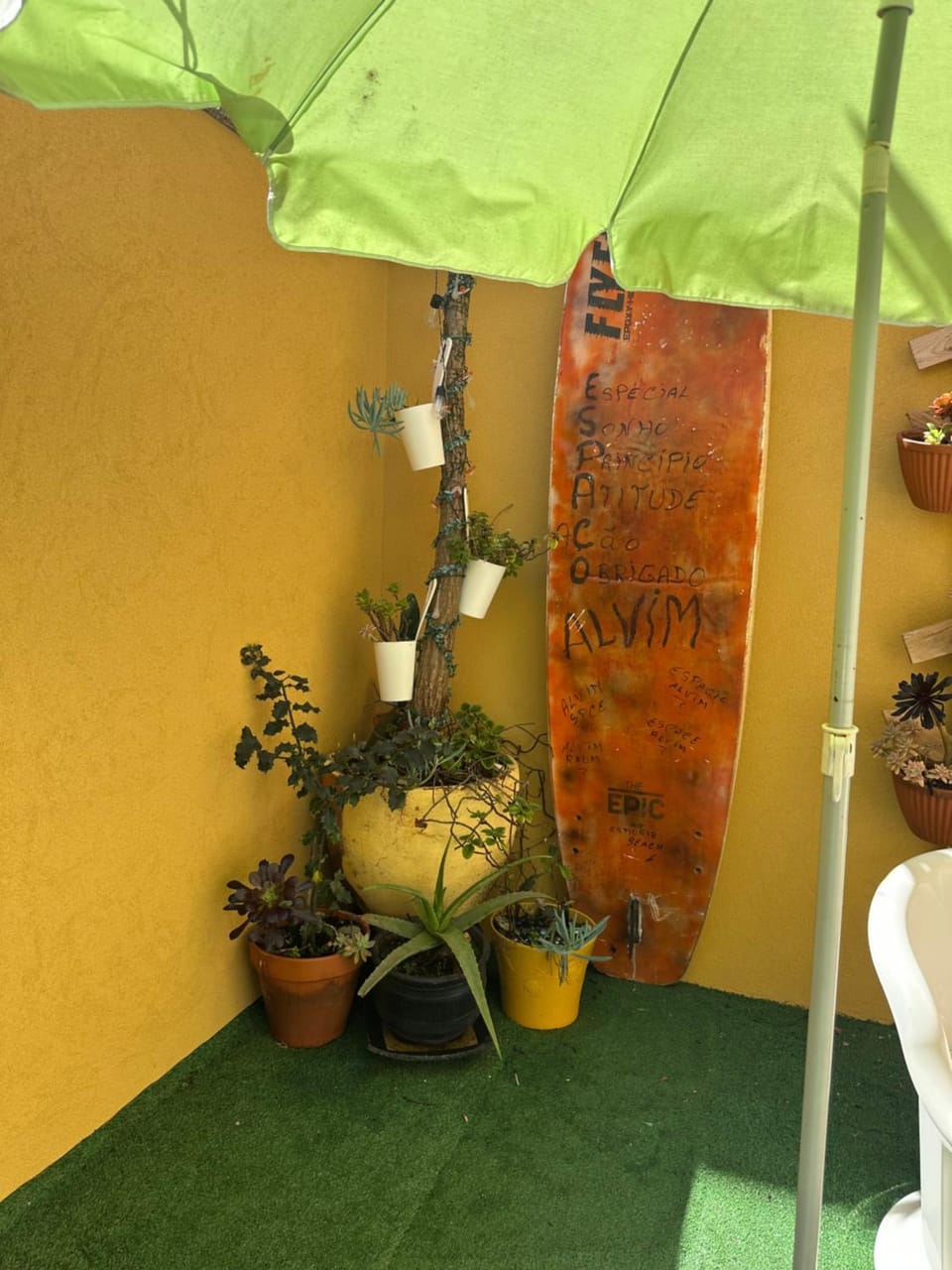 Garden view