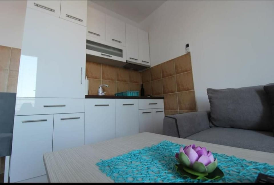 Pegaz009**** Apartment in Serbia