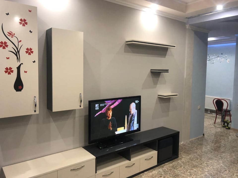 TV and multimedia