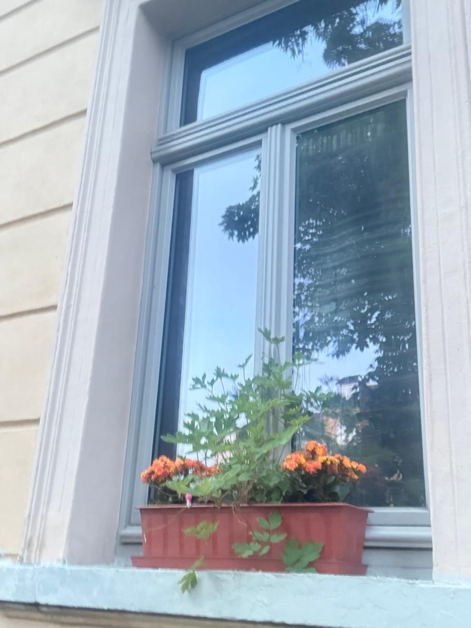 Ferienzimmer Healing und Montuerwohnung Vacation rental in Thuringia, Germany