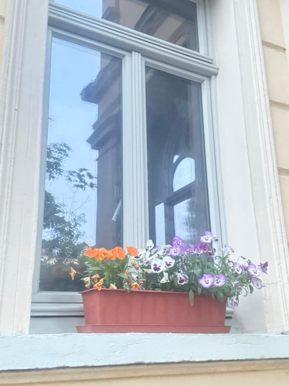 Ferienzimmer Healing und Montuerwohnung Vacation rental in Thuringia, Germany