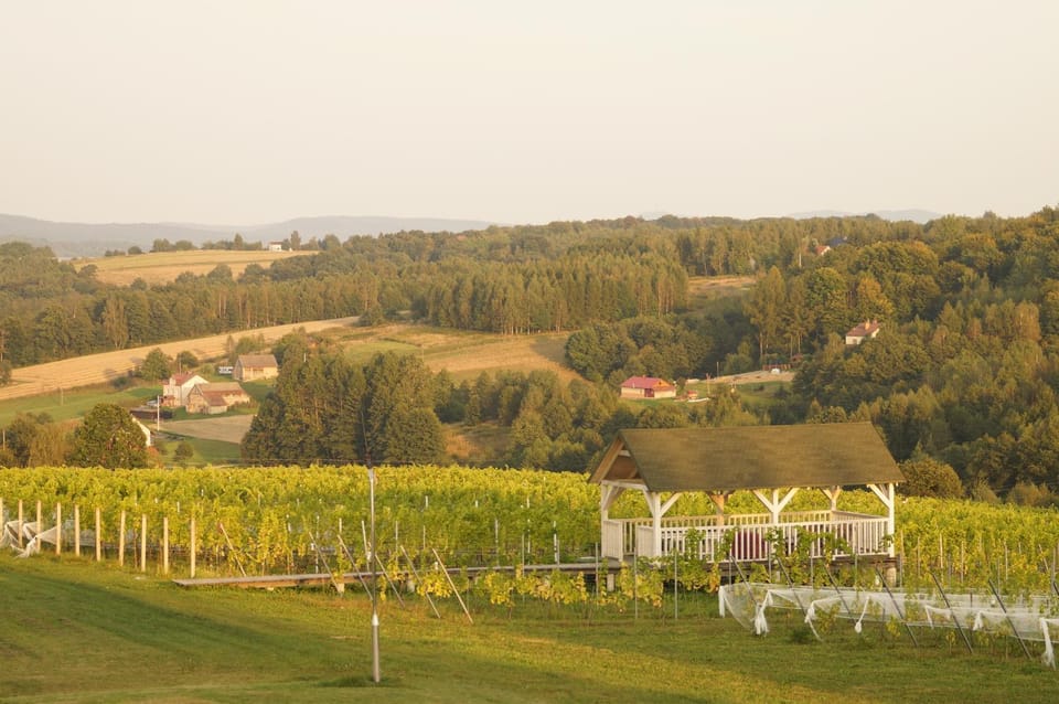 Neighbourhood, Natural landscape, Garden, Hiking