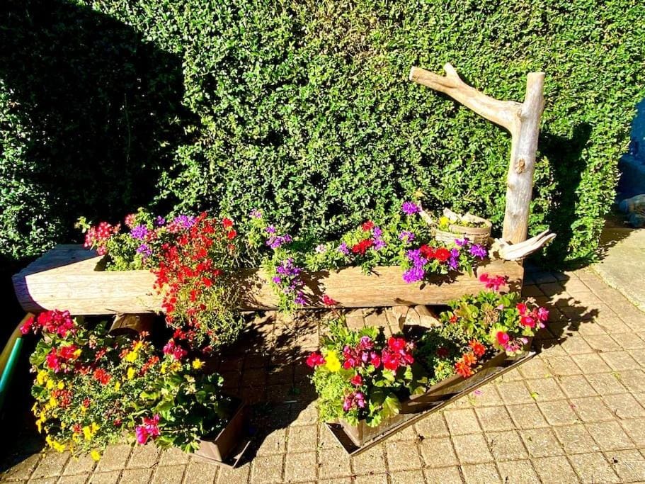 Gemütliche Ferienwohnung im Berner Oberland Apartment in Canton of Valais