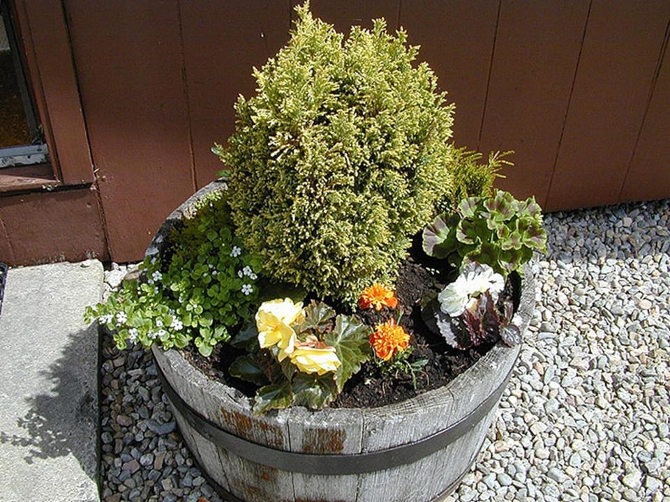 Spring, Day, Garden, Decorative detail