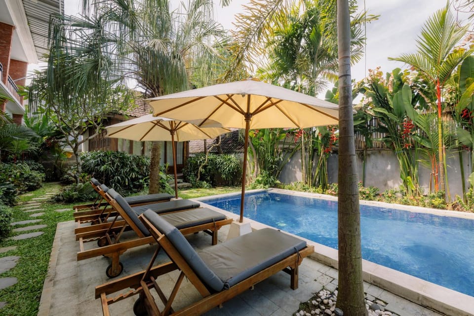 Natural landscape, Garden, Swimming pool, sunbed