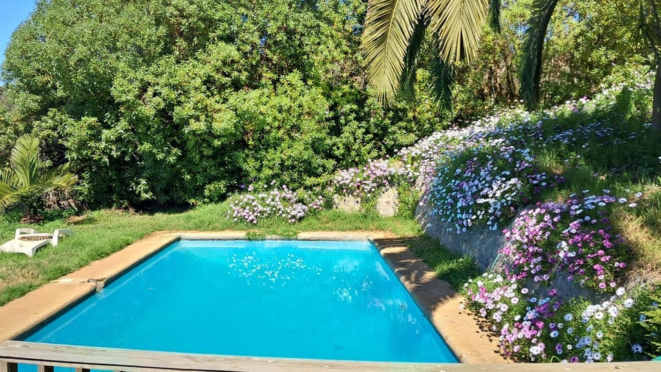 La Casa de la Nueva Poesía Vacation rental in Santiago Metropolitan Region