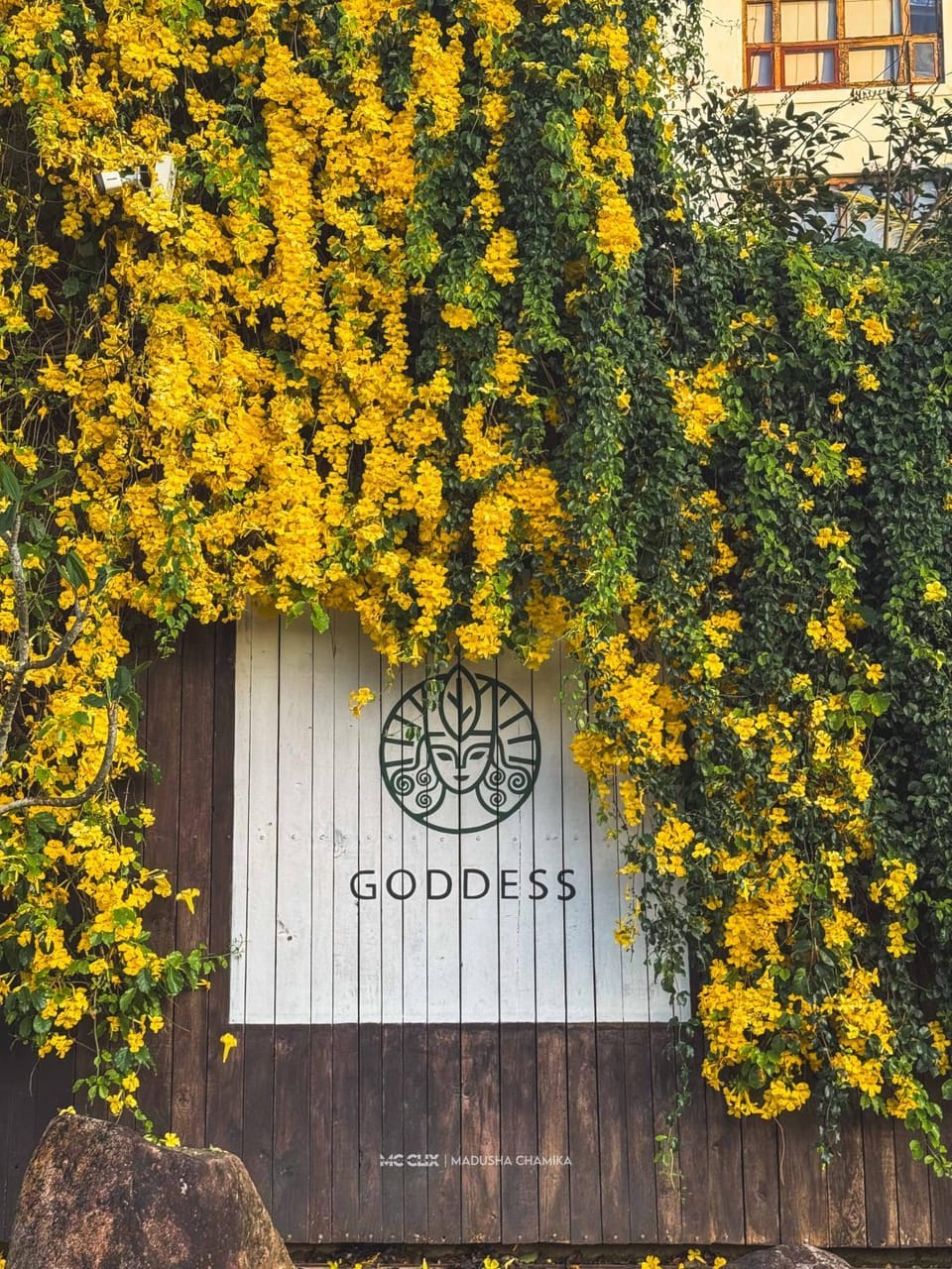 Property building, Nearby landmark, Facade/entrance, Spring, Day, Neighbourhood, Summer, Garden, Animals, Garden view, Entertainment, Sunset, Parking