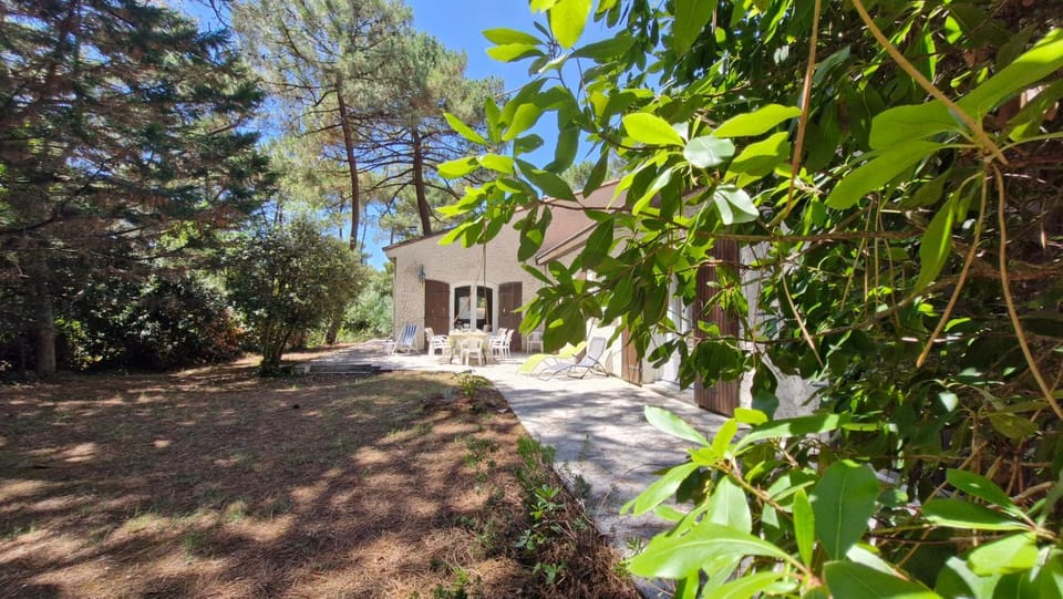 Property building, Day, Natural landscape, Garden, Garden view