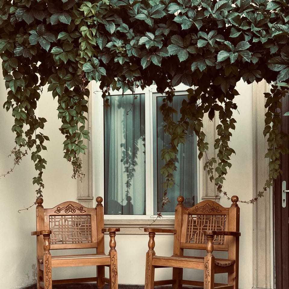 Garden, Seating area, Garden view