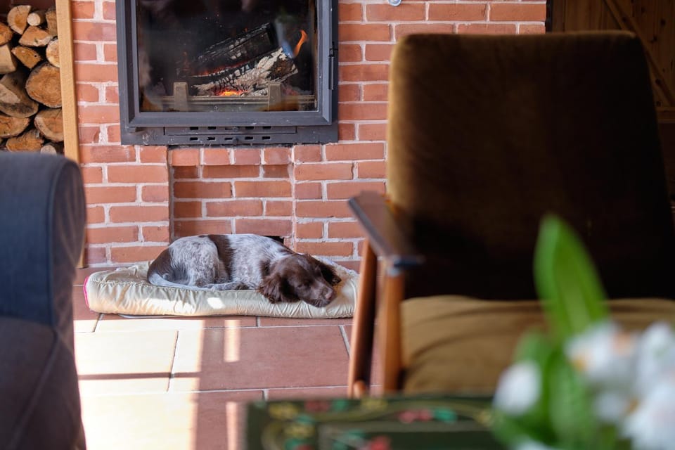 Communal lounge/ TV room, fireplace
