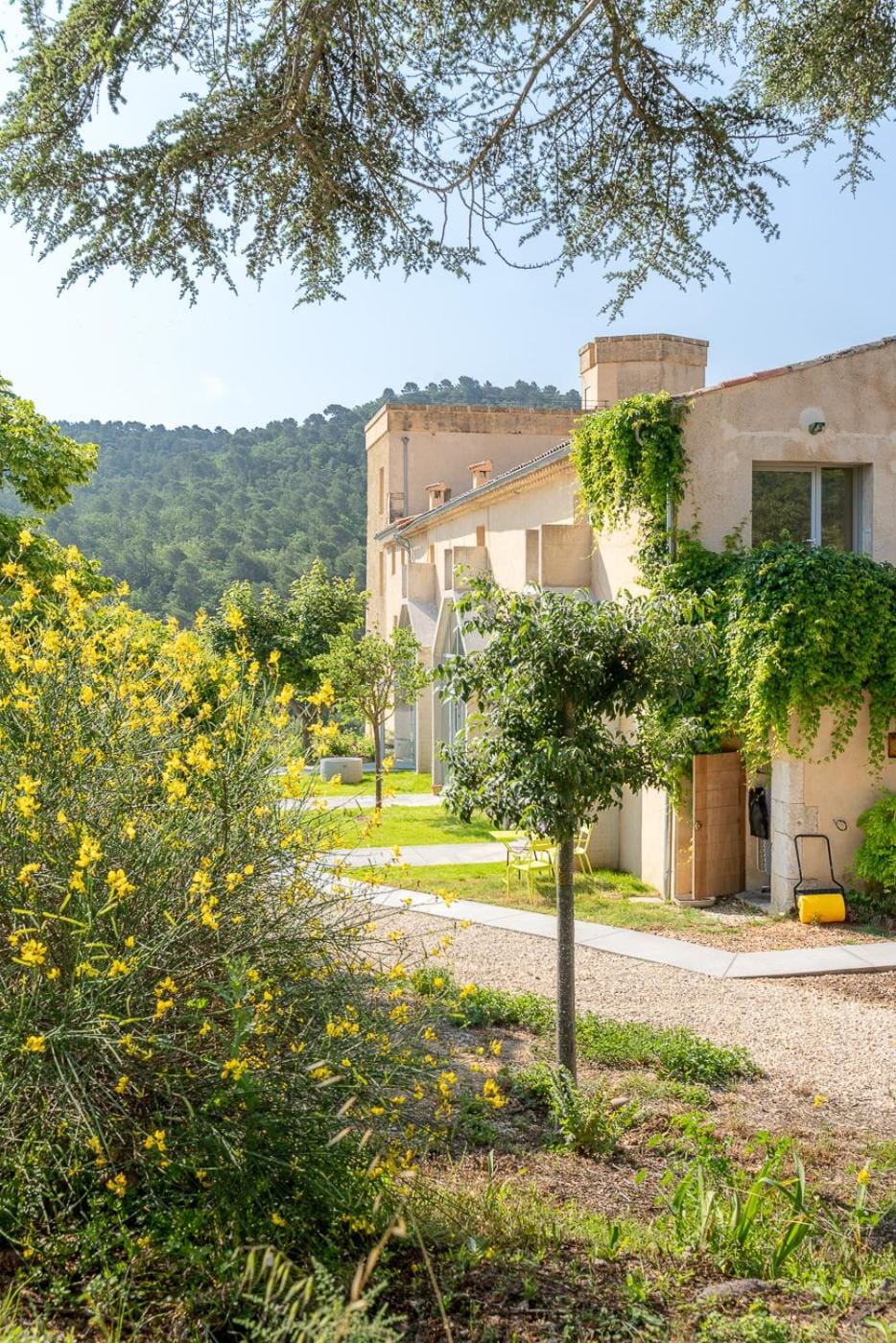 Property building, Natural landscape, Garden, Garden view