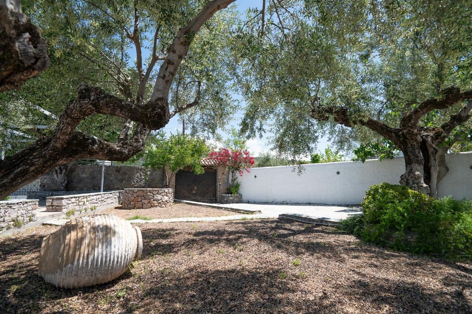 Day, Natural landscape, Garden
