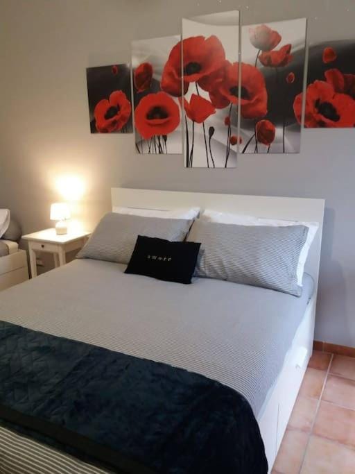 Bed, Photo of the whole room