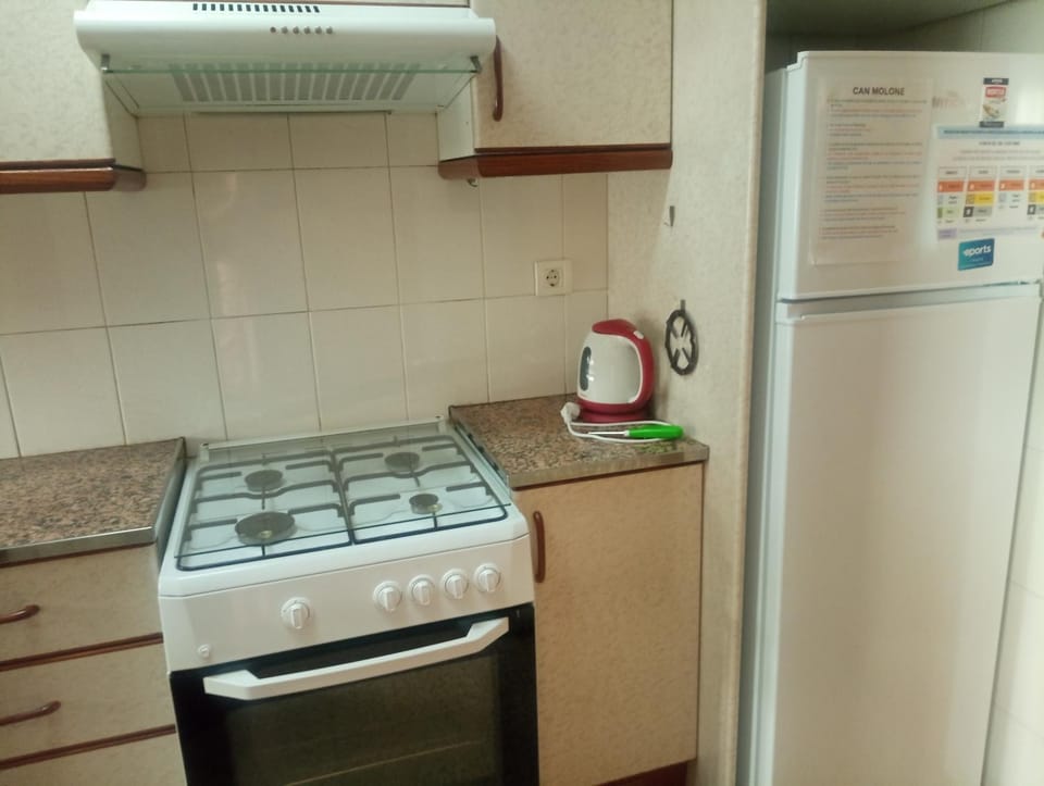 Kitchen or kitchenette, pet friendly