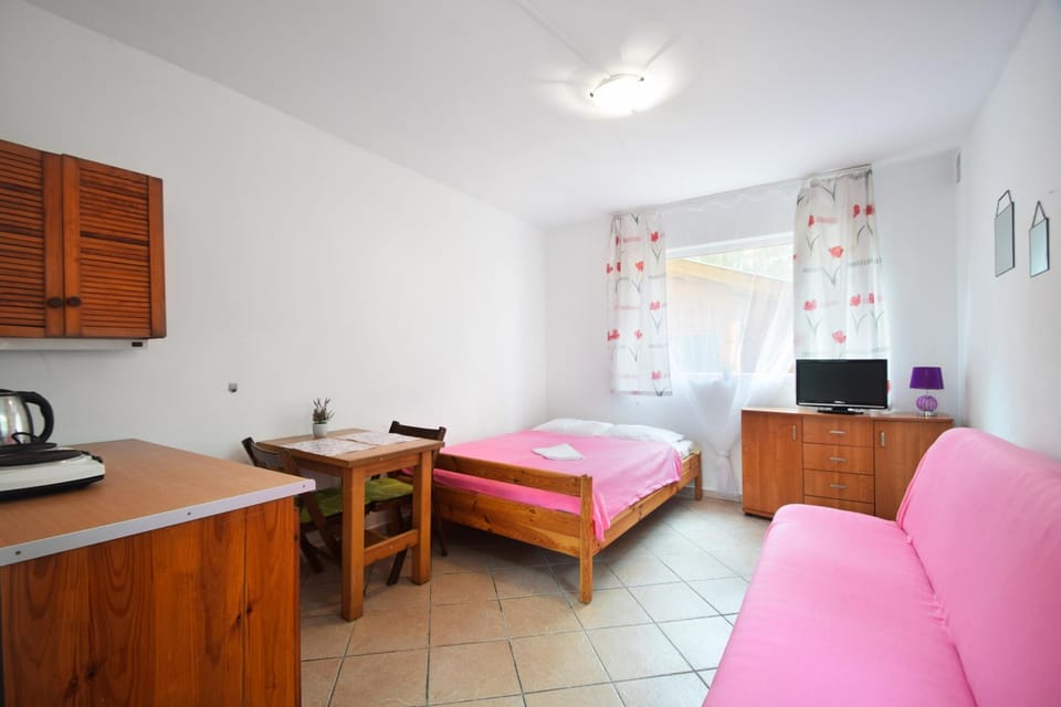 Bed, TV and multimedia, Kitchen or kitchenette, Living room, Photo of the whole room, Seating area, Dining area, Bedroom