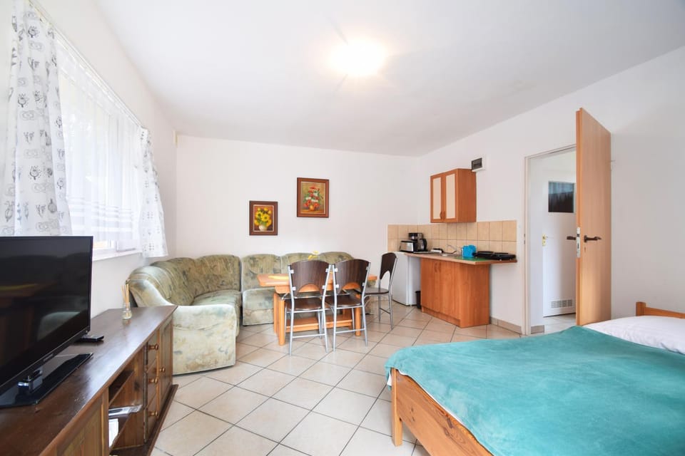 Bed, TV and multimedia, Kitchen or kitchenette, Living room, Photo of the whole room, Seating area, Dining area, Evening entertainment, Bedroom, stove