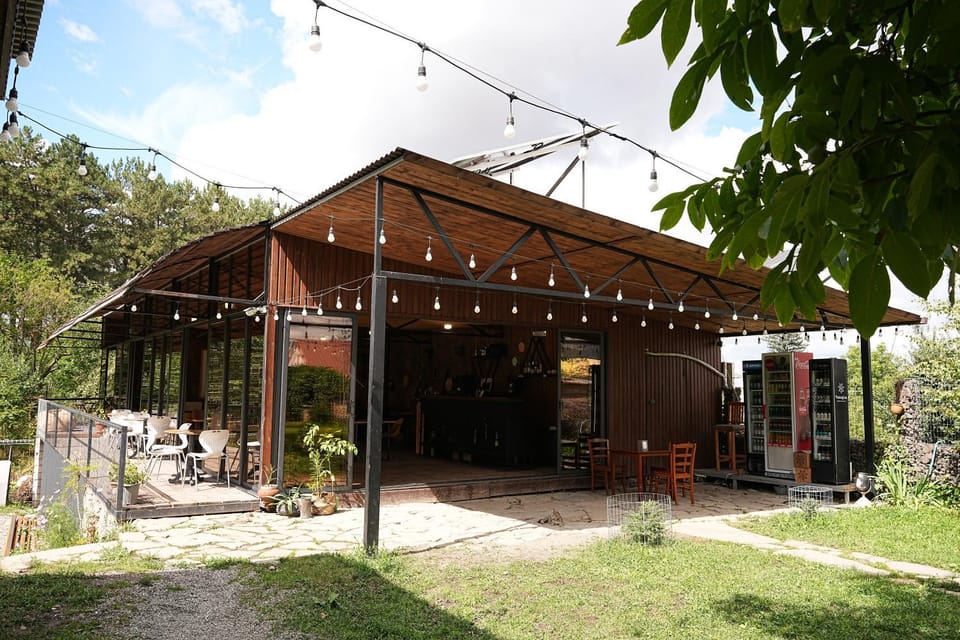 Restaurant/places to eat
