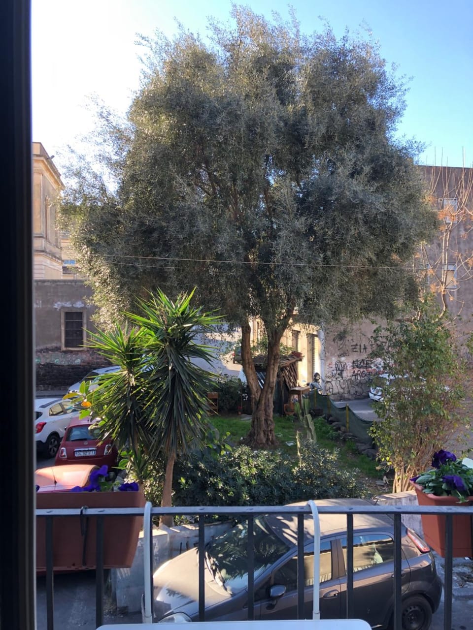View (from property/room)