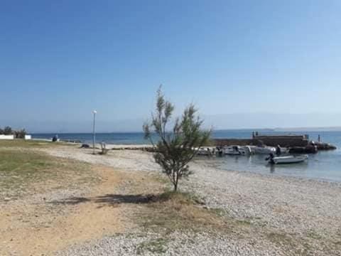 Vir summer apartment Apartment in Zadar County