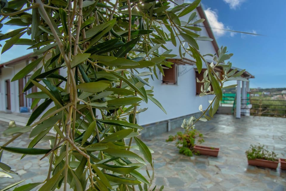 Property building, Patio, Facade/entrance, Garden