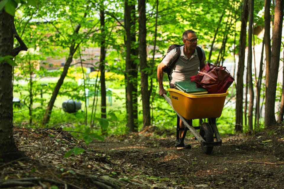 Natural landscape, On site