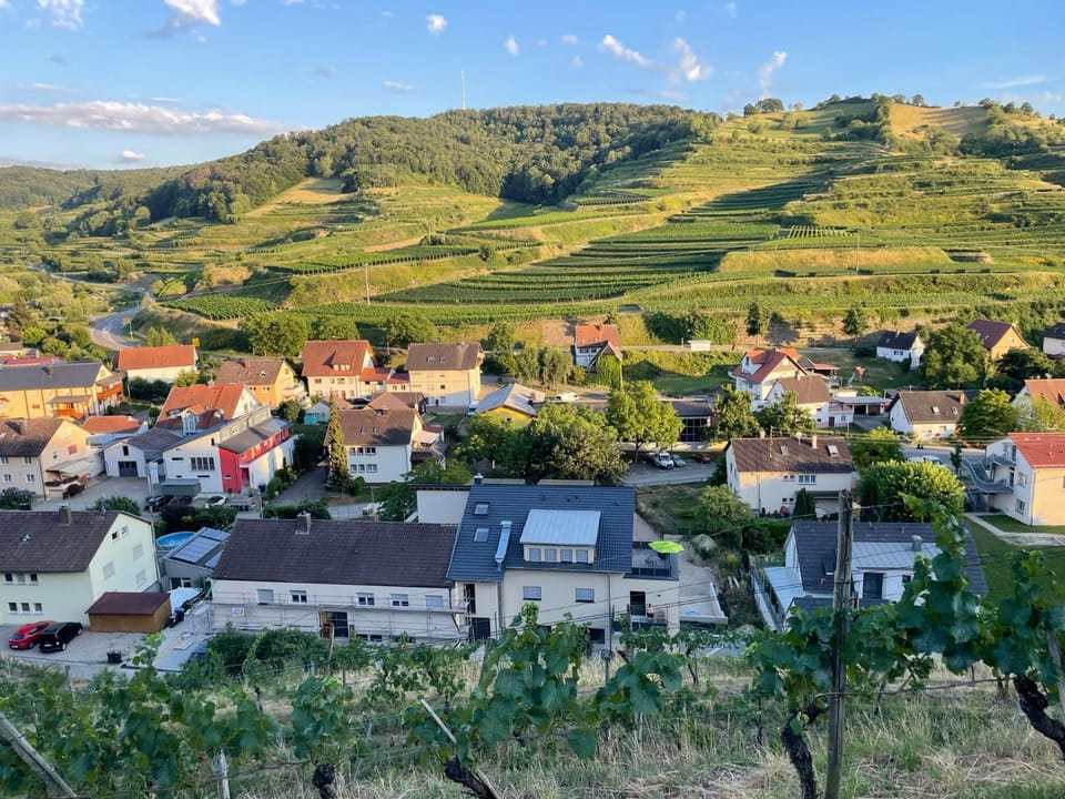 View (from property/room)