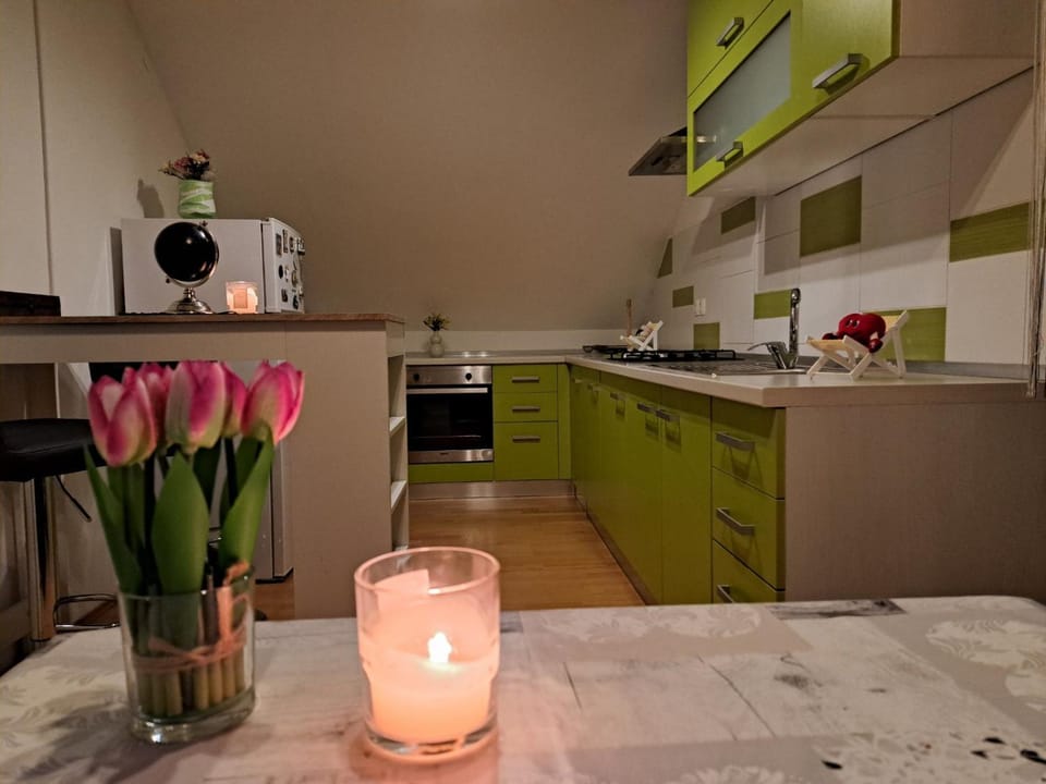 Kitchen or kitchenette, minibar, pet friendly