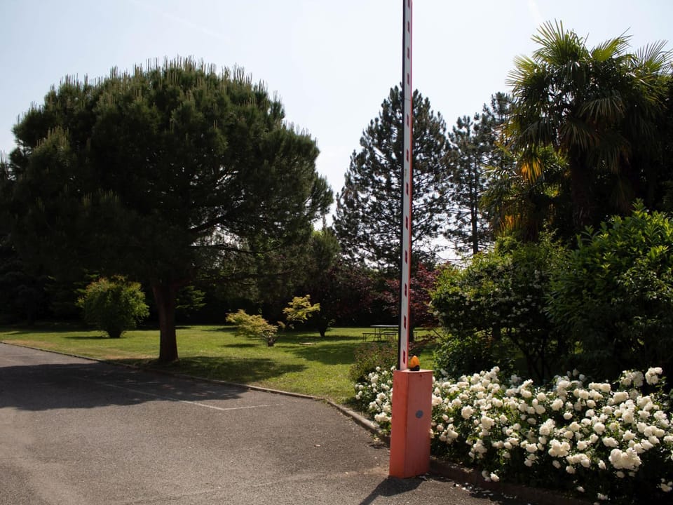 Property building, Garden, Animals, Pets, Garden view, pet friendly