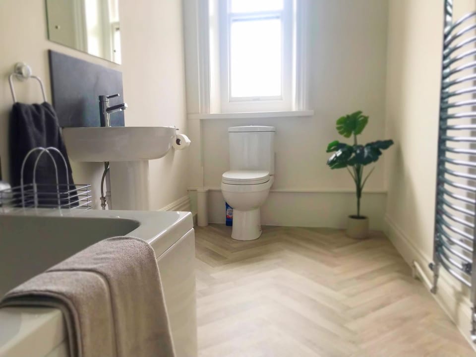 Toilet, Bathroom, towels
