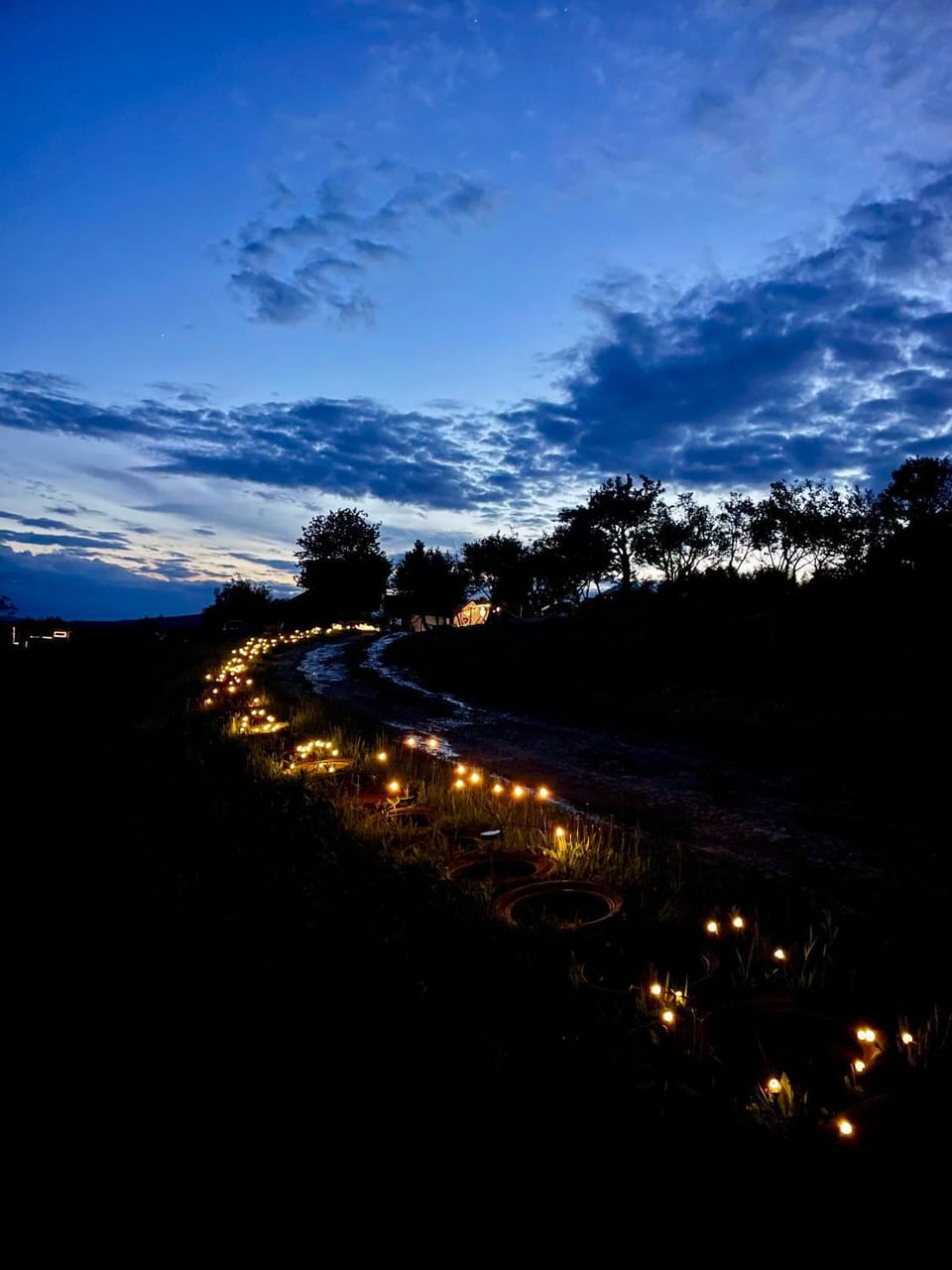 Night, Garden, Decorative detail, Garden view