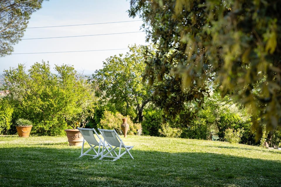 Natural landscape, Garden