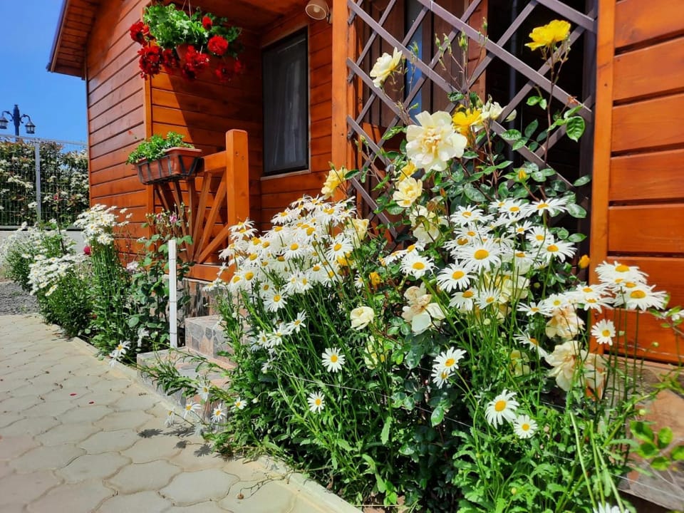 Cabanele Deltei Campground/ 
RV Resort in Romania