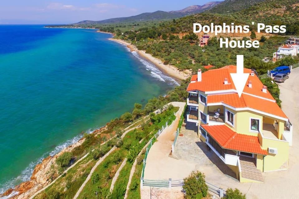 Property building, Bird's eye view