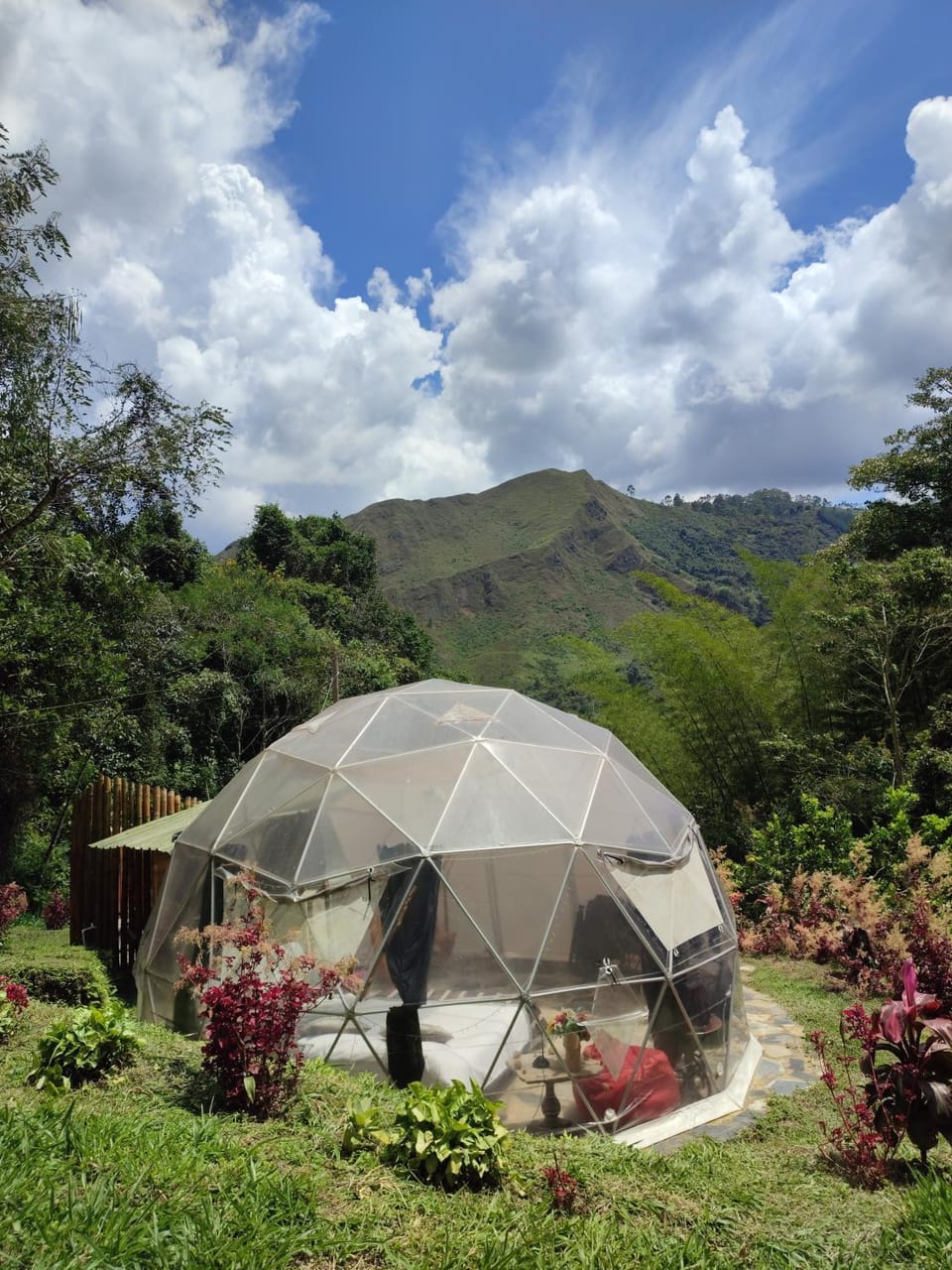 Colibamboo Domo Glamping Campground/ 
RV Resort in Pacho