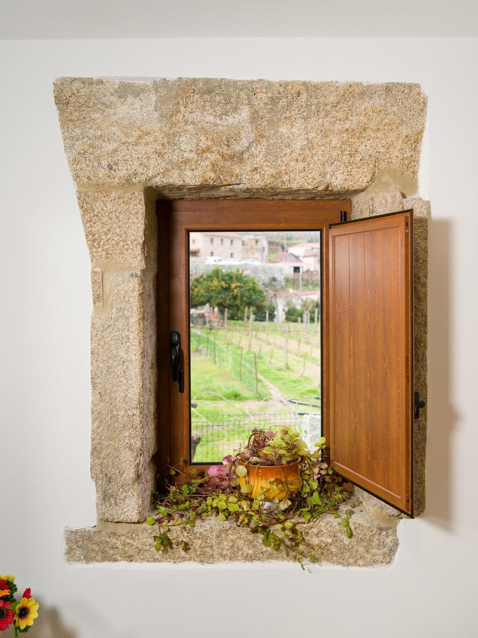 Cantinho do Lúcio House in Viana do Castelo District, Portugal