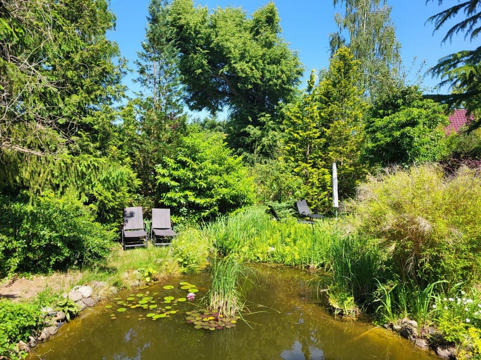 Balcony/Terrace, sunbed