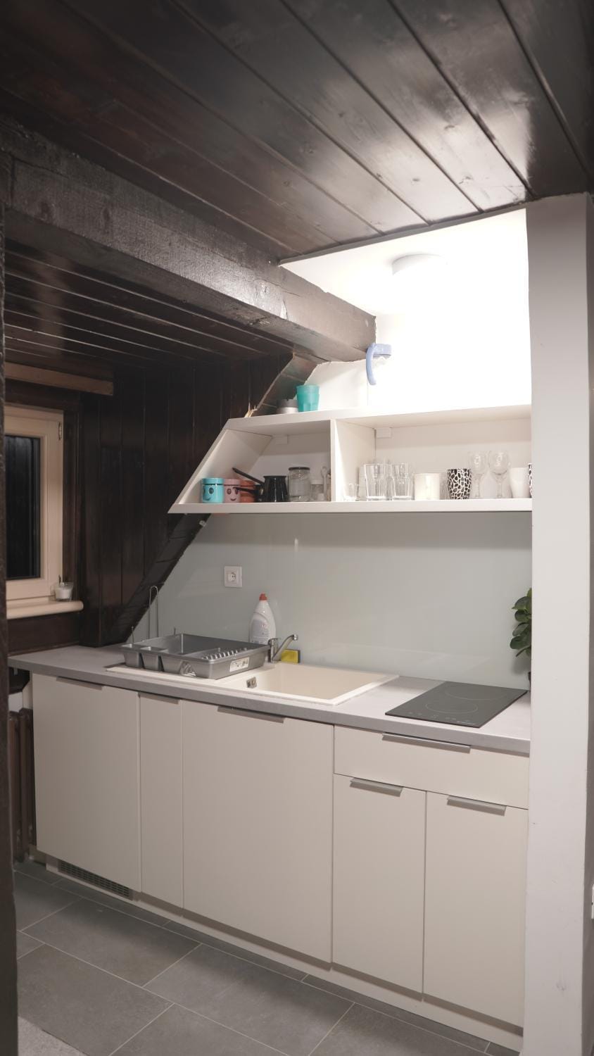 Kitchen or kitchenette, kitchen