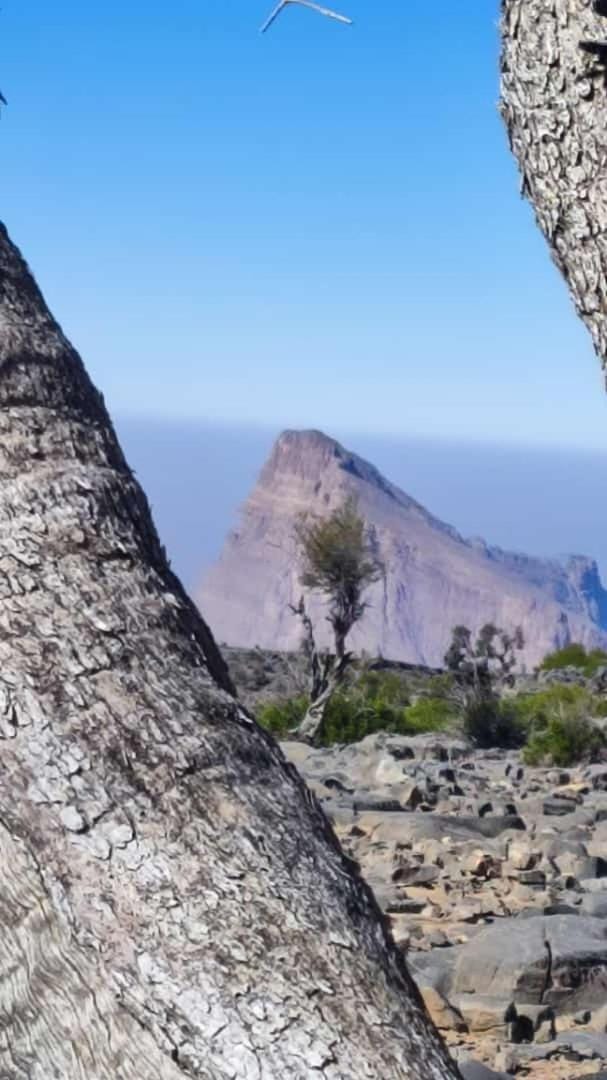 Atiaf Jabal Shams house House in Oman