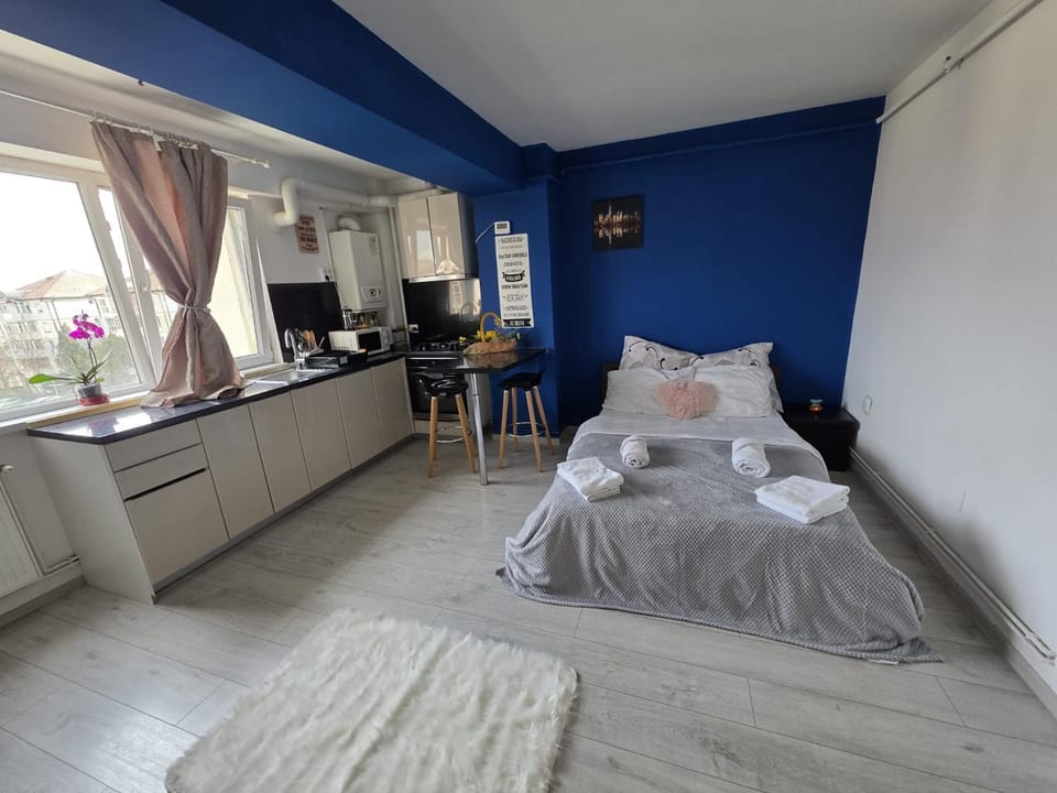 Studio 32 Bulevardul Oltenia Apartment in Craiova
