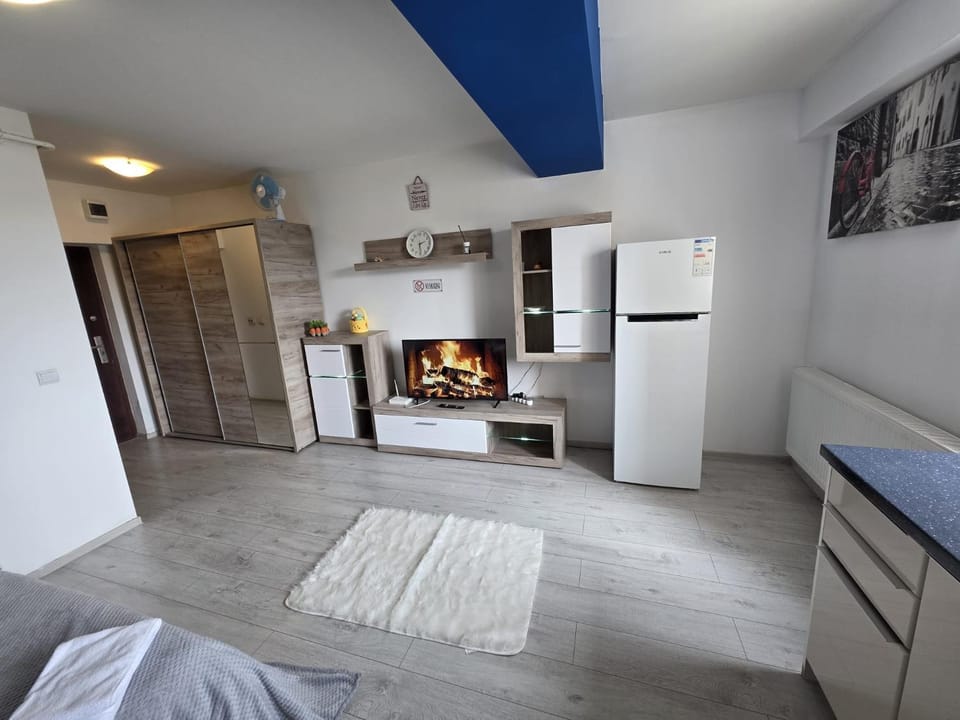 Studio 32 Bulevardul Oltenia Apartment in Craiova