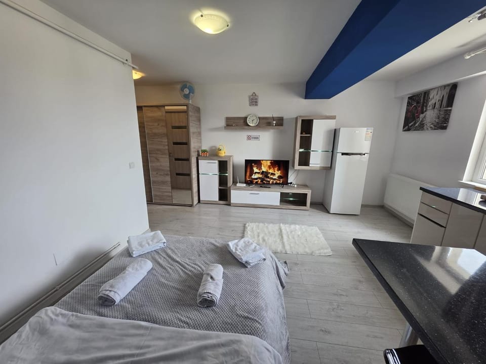 Studio 32 Bulevardul Oltenia Apartment in Craiova