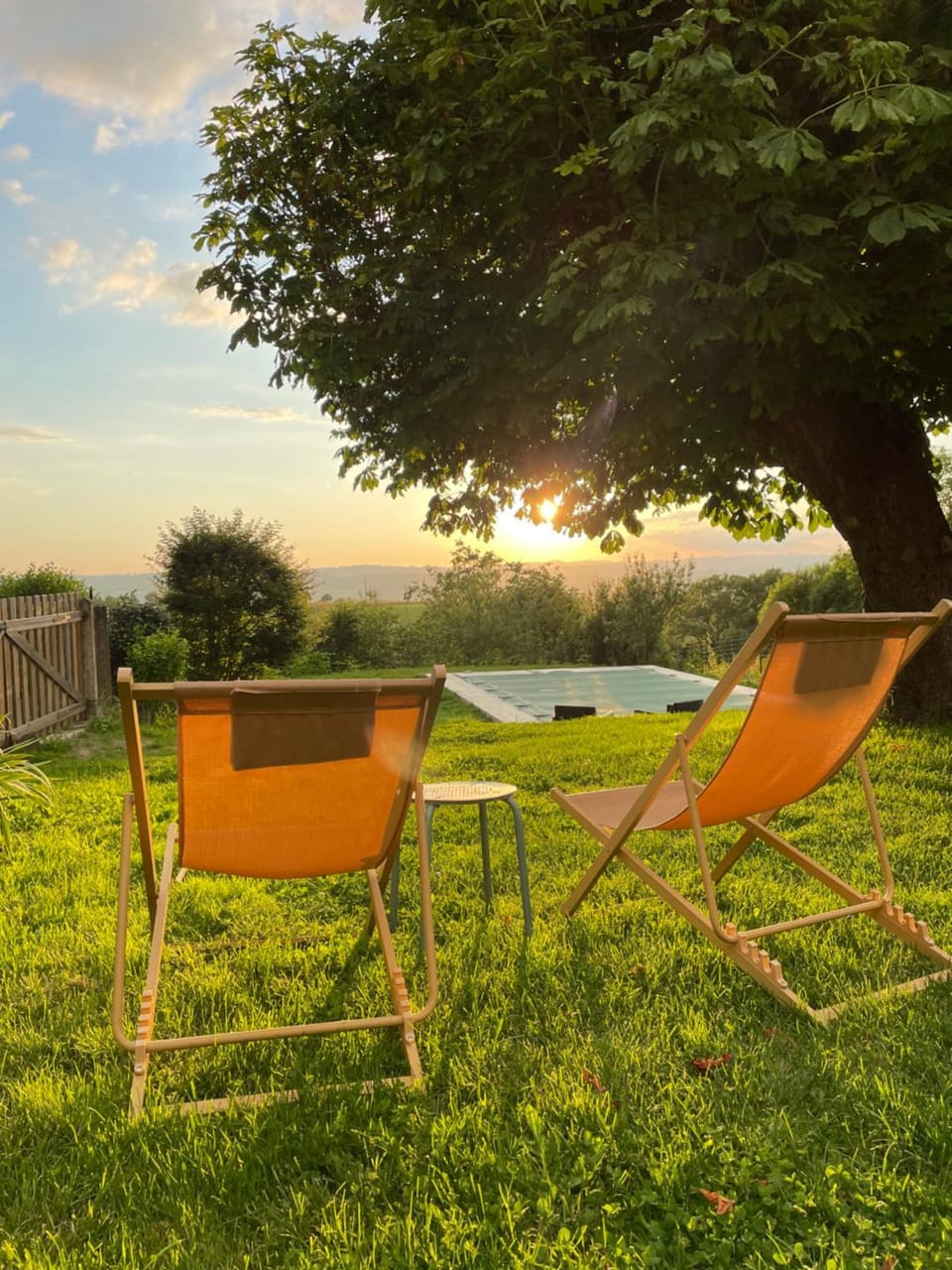 Garden, Garden, Garden view