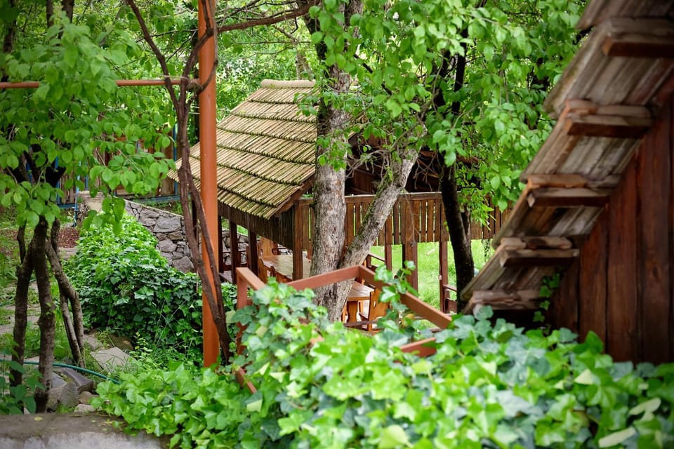 Garden, Garden, Dining area