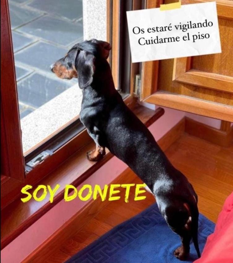 MODERNO PISO CON LA MEJOR TERRAZA DE RIBADEO Y VISTAS MARAVILLOSAS Apartment in Ribadeo