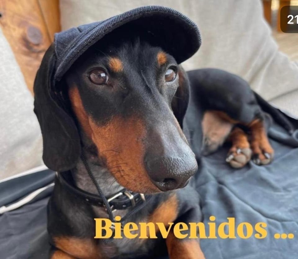 MODERNO PISO CON LA MEJOR TERRAZA DE RIBADEO Y VISTAS MARAVILLOSAS Apartment in Ribadeo