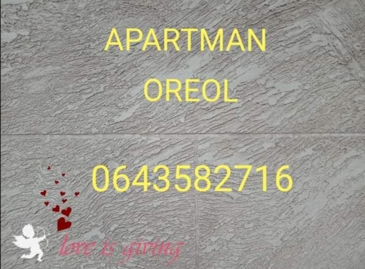 Apartman Oreol Apartment in Zlatibor District, Serbia