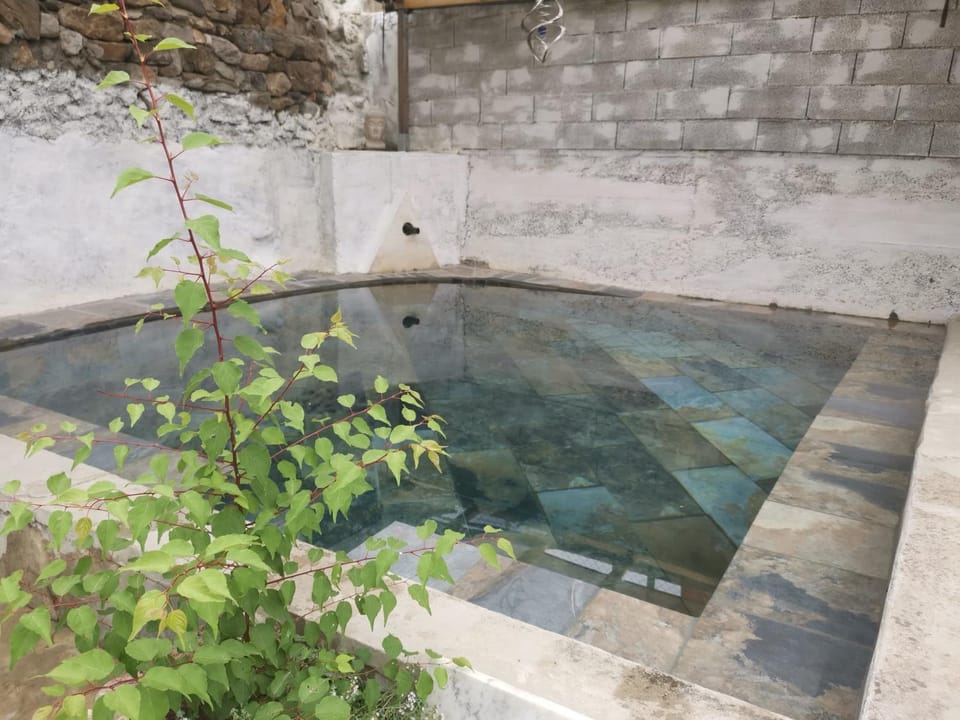 Summer, Pool view, Swimming pool