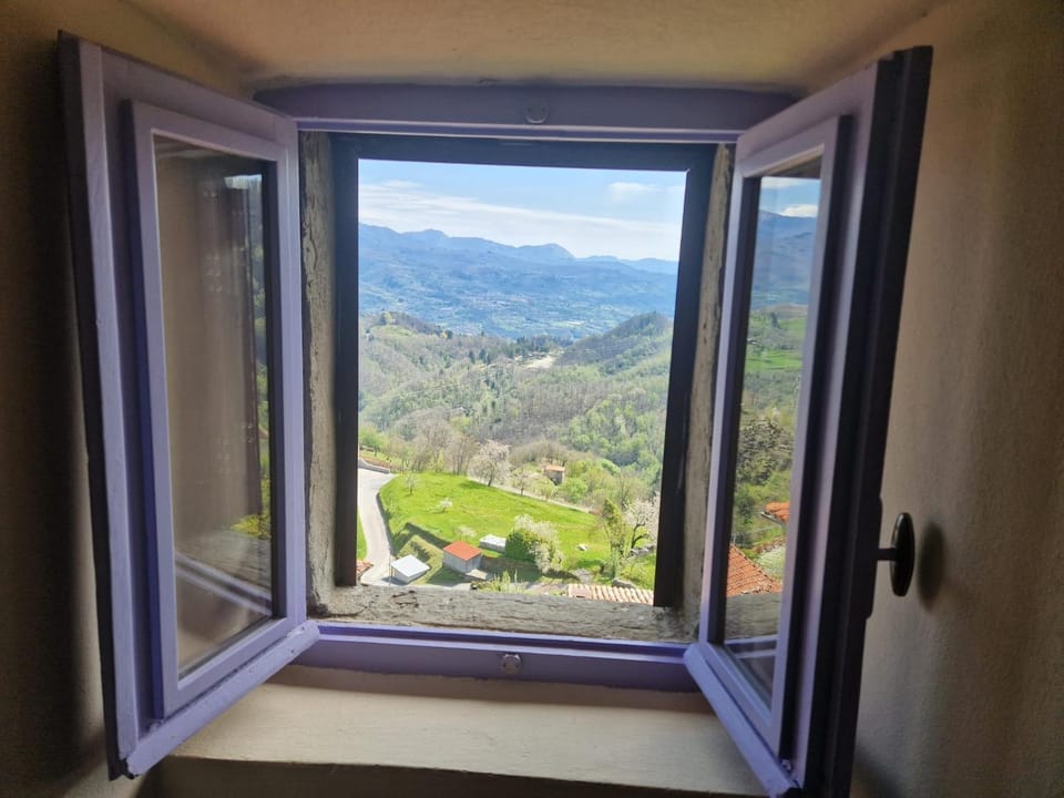 Mountain view