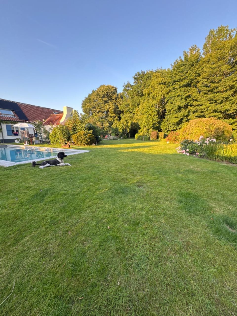 Hoeve Pino, Verwarmd zwembad Villa in Flanders