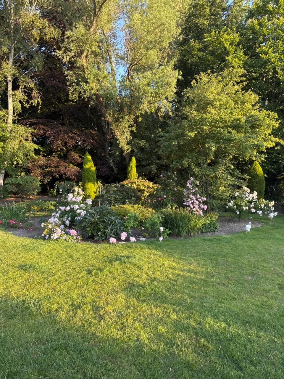 Hoeve Pino, Verwarmd zwembad Villa in Flanders